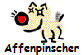 Affenpinscher
