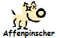 Affenpinscher