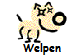 Welpen